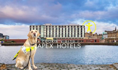 Guide dog poses in front of Apex City Quay Hotel & Spa Guide dog poses in front of Apex City Quay Hotel & Spa