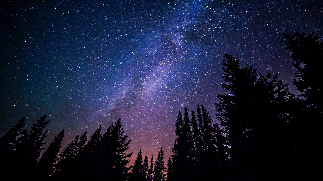 Stargazing in Dundee View of stars in forest