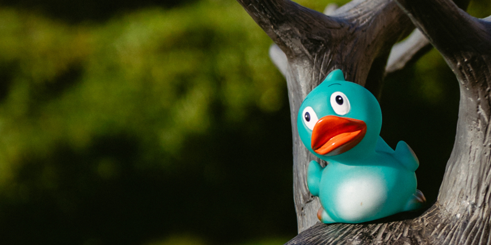 Apex Dunblane Hydro Duck