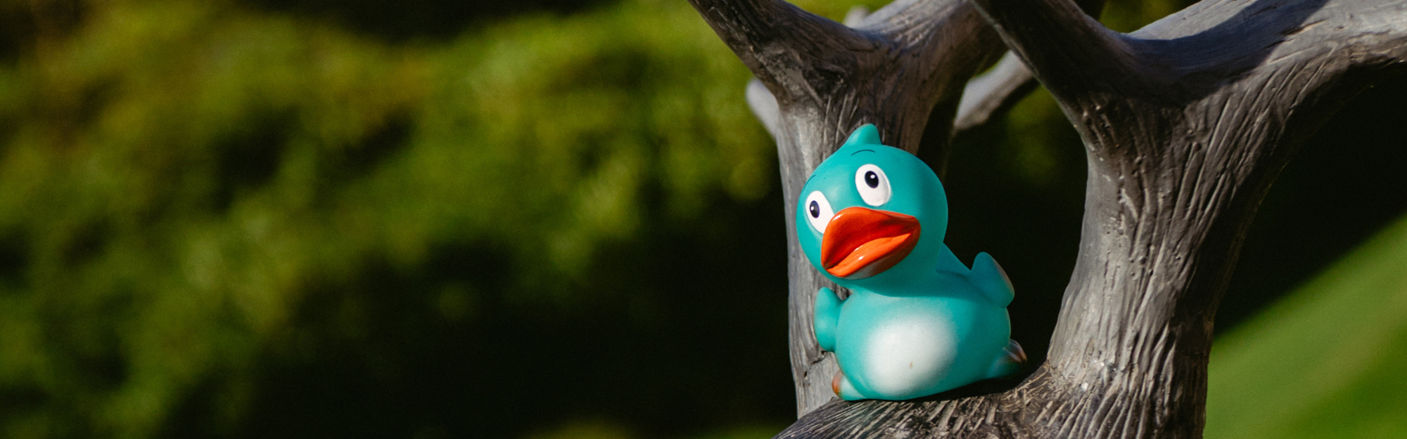 Apex Dunblane Hydro Duck