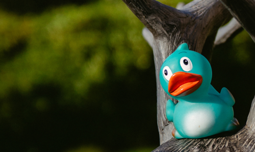 Apex Dunblane Hydro Duck Apex Dunblane Hydro Duck