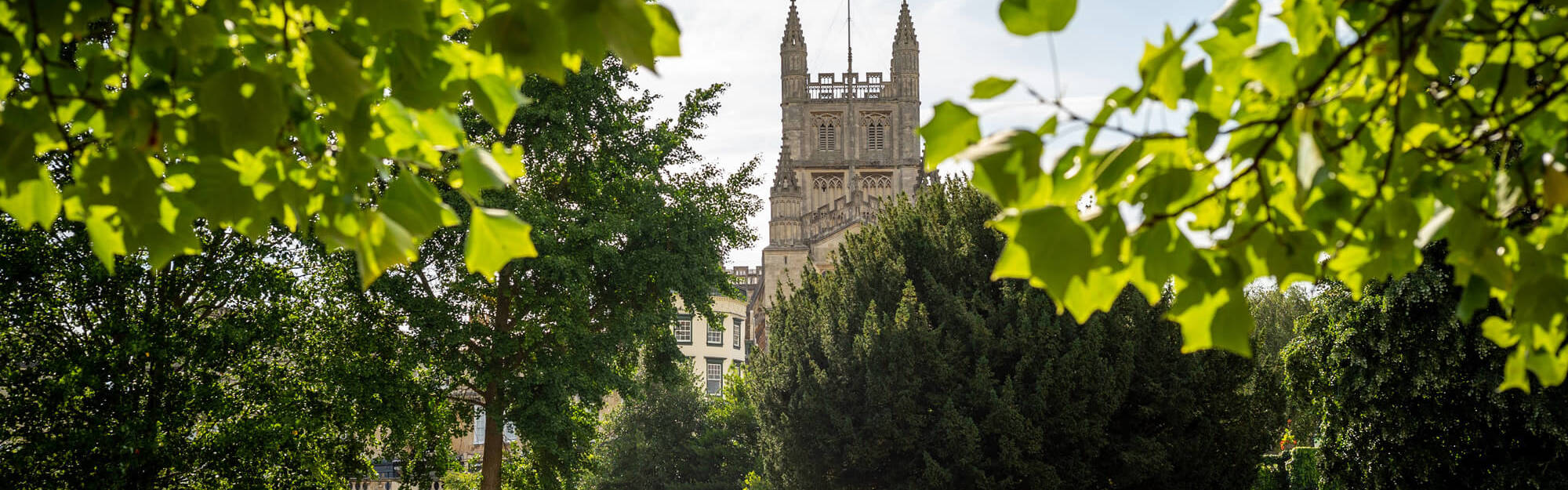 Bath Abbey through trees