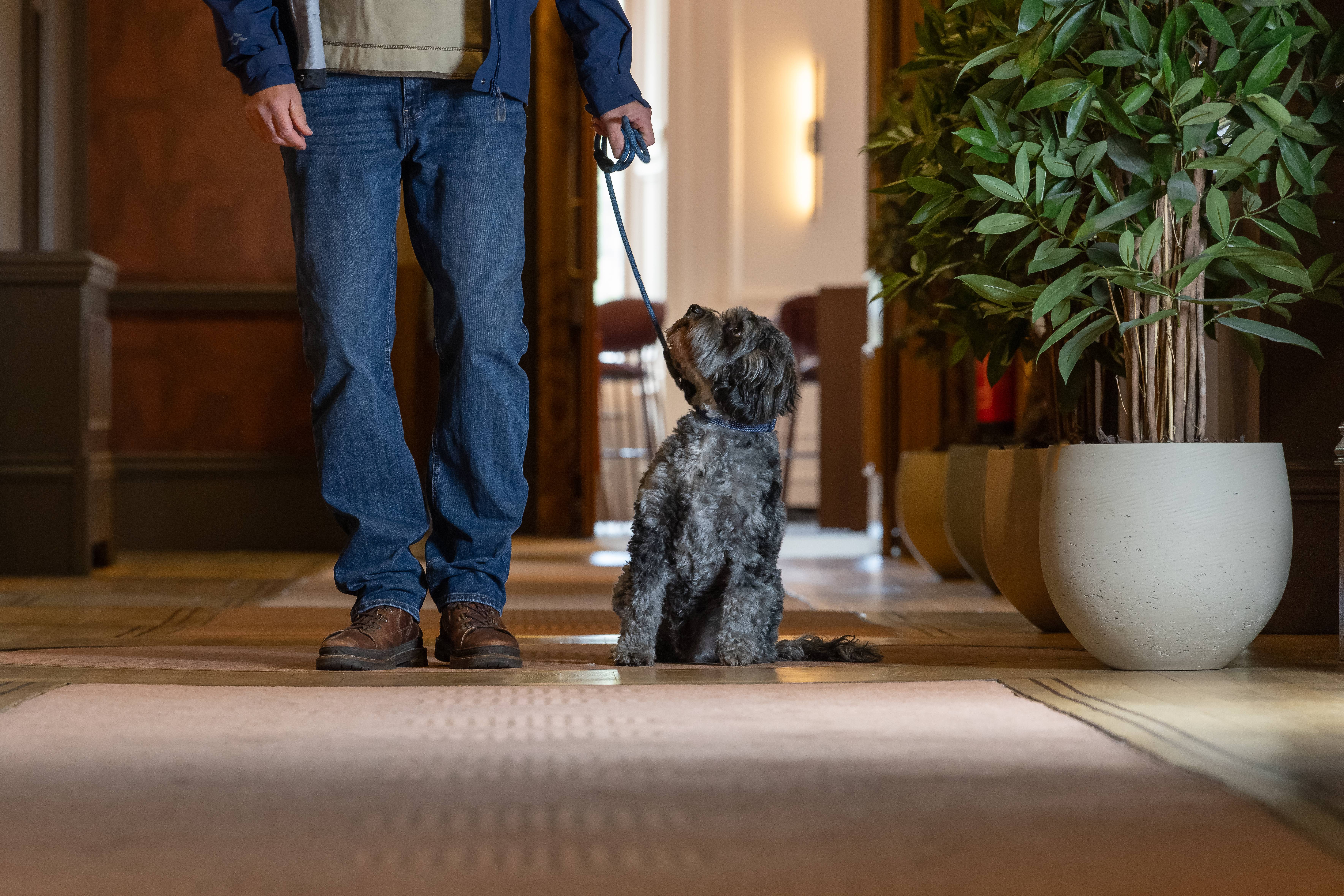 apex hotels dunblany hydro is dog friendly