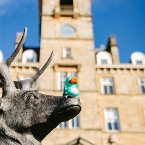 apex dunblane hydro duck